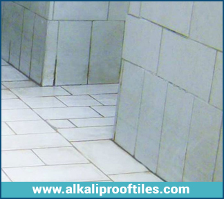 CHEMICAL PROOF TILES